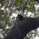 씨유 창동우리점 | 먹은 것, 본 것, 읽은 것 후기