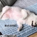 펜션.라온빌리지 이미지