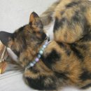 기다리다 이미지