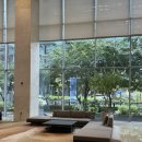 샛강 | 서울 여의도 맛집 회식장소로 좋았던 후기 샛강역 돼지갈비는 삼육공 고기집입니다