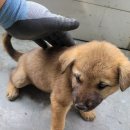 운산2리마을회관 이미지