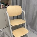 화이트하우스in용담 | 내돈내산!! 싸이벡스 레모 4 in 1 후기 (샌드화이트)