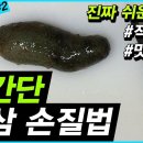 해삼요리, 해삼손질법 초간단! seacucumber grooming 海鼠釣り 이미지