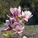 쾌청농장 이미지