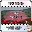 제천 비룡담저수지 마법의성 충북가볼만한곳 물안개 산책코스 명소 후기