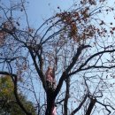 계절여행 이미지