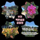 도당초등학교 | 송이 장미공원 축제 실시간 개화 상황, 대중교통 가는 법 주차 팁 감성 가득 인생샷 명소 실시간 방문 후기