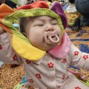 풀잎어린이집 | 풀잎아이 봄학기 후기 (의상, 악기, 촉감놀이)
