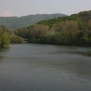 H9194 Daum카페
