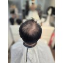 동경헤어라인
