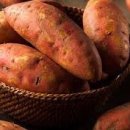 안녕필라테스 이미지