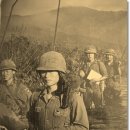 제일머리 이미지