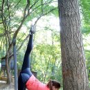 힐링스트레칭 이미지