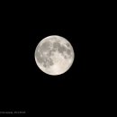 moon 이미지