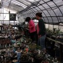 문겸농장 이미지