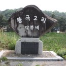 봉곡2리(오양골) 이미지