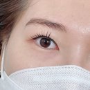[울산 남구 무거동 속눈썹펌] 미유브로우&amp;마렌속눈썹영양제