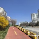 나우커피 용인 수지점