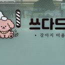 쓰다드멍 이미지