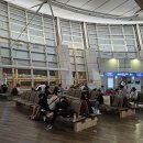 칼리야 모텔 | 필리핀 보홀여행 0.5박 단비리조트 픽업 입국팩 출국팩 후기 (ft. 제주항공 티켓가격)