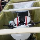 강성호 카카오 검색결과