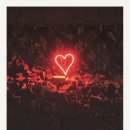 좋아서 하는 밴드 카카오 검색결과