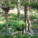 스테이 수림 이미지