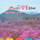 비슬산 참꽃문화제 이미지