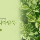 원농장1 이미지