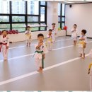 마루태권도 이미지