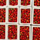 유봉농장 이미지