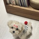 늘품동물병원 이미지