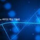 젠메디칼 네이버블로그