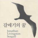 갈매기의 꿈 이미지