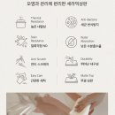 라미우드 이미지