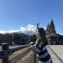 하나샘투어 | 도쿄 후지산 일일투어 가와구치코 여행 버스투어 후기