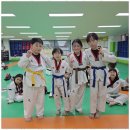 가설건축물 세우종합천막공사로 충족한 창고천막 솔루션 후기