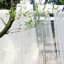 봄날 미세먼지, 황사 속 ‘초록 해방구’ 서울 근교 이색 플랜테리어 카페 이미지