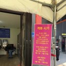 남욱농장 | 태안 튤립축제 후기 마지막날 다녀와본 솔직 리뷰 애견동반 가능