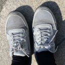 슈올즈 괴정점 이미지