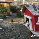 강동구청 성안별관 이미지