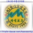964 이미지