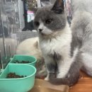 펫피드글로벌 | 2024 중국 베이징 펫박람회(China Pet EXpo 2024) 관람 후기