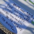 위드도도 이미지