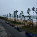 정동진 모텔 이미지