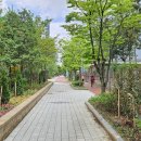 광주시 폭염·열섬 대응 도시숲 10곳 조성[e미래뉴스] 이미지