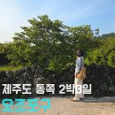 성산마을회관 | 포토존으로 유명한 서귀포가볼만한곳 오조포구 주차정보 및 제주도동쪽코스