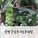 큰삼촌농촌체험마을 | 경기도 촌캉스 아이랑 양평여행 체험프로그램 가득한 큰삼촌농촌체험마을