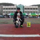 황철미가 이미지