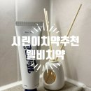 잇몸 저자극 민감성 추천하는 상쾌한 하이드록시아파타이트 웰비치약 후기